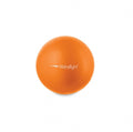 Bola de Exercícios 20cm Anti-Burst