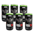Évora PW Drink (6 unidades - 269ml)