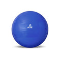 Gym Ball (65cm)